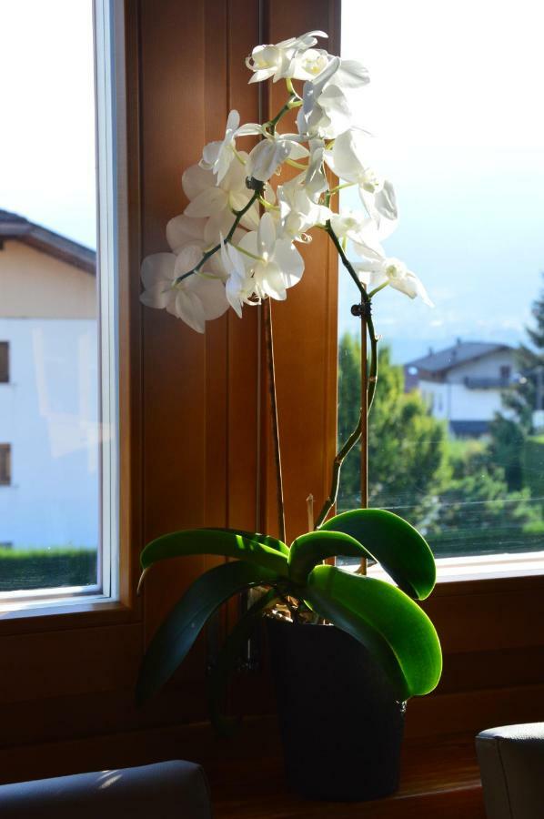 Il Nido Dei Sogni Sanzeno Apartment ภายนอก รูปภาพ