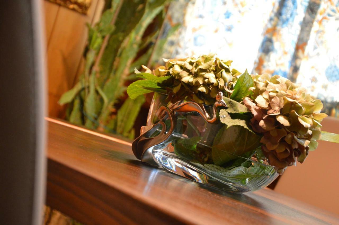 Il Nido Dei Sogni Sanzeno Apartment ภายนอก รูปภาพ